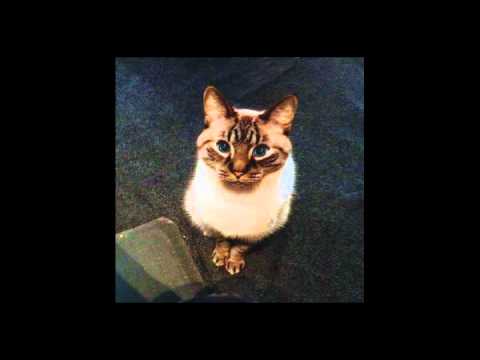 LEW PHILLIPS - KITTY WITH TINY FEET