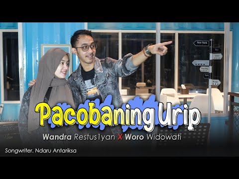 Woro Widowati feat. @WandraDailyLife - Pacobaning Urip (Official Music Video)