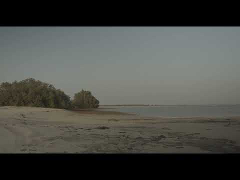 Empty beach with mangrove, Red Sea, Farasan, Saudi Arabia