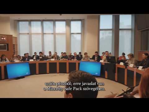 Hogyan tovább az európai kisebbségpolitikában?