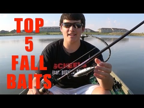 TOP 5 FALL BASS FISHING BAITS
