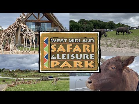 Let’s Go Safari Park | Come With Me | Spend The Day With Me