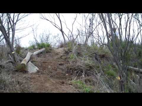 Levy Loop Drop 3-6-10