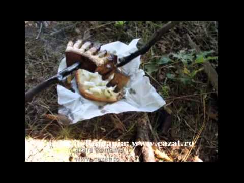 Cazare Brebina, Teleorman - Cazat.ro