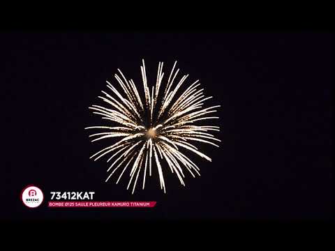 73412KAT - BOMBE Ø125 SAULE PLEUREUR KAMURO TITANIUM