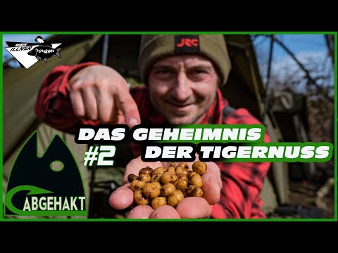 CHECKED OFF #2: The Secret of the Tiger Nut