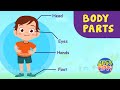 Body Parts Parts Of Body For With Spelling Learn Body Parts Basic Study