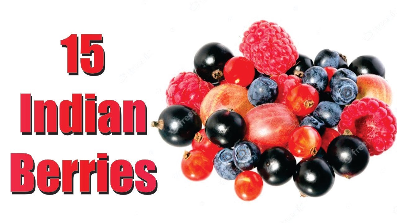 15 Berries found in India | Variety of Berries | Indian wonder Berries