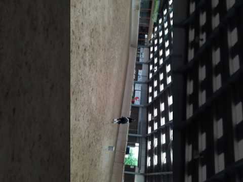 MasterClass Dressage mit Marco Ullrich A-GP im  Equicenter Leufgen ~ Nadine Bömer & DameDeCoeur