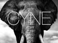 CYNE - Money Parade