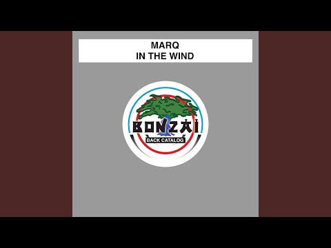 In The Wind (Paul Mendez & Zero 3 Remix)