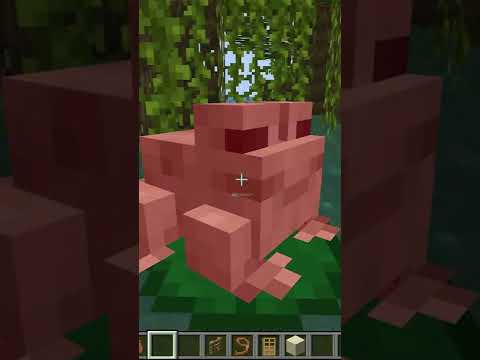 Mind-blowing mystery track in Minecraft! 😮 #shorts #minecraft