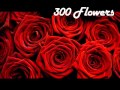 300 Flowers - Cold Case (Lyrics) 