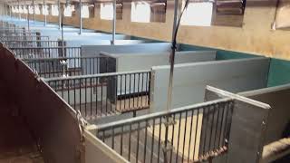 Autre équipement pour le bétail TILLVÄXTBOXAR à vendre - Image 4 | Agroline LU Autre équipement pour le bétail TILLVÄXTBOXAR | Image 4 - Agroline