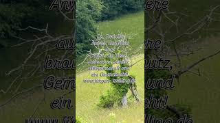 ZwillingsBlick - Dr. Rodolfo Anwalt der Tiere sagt, auch die Tiere brauchen Schutz,Gemeinschaft und ein Grundrecht