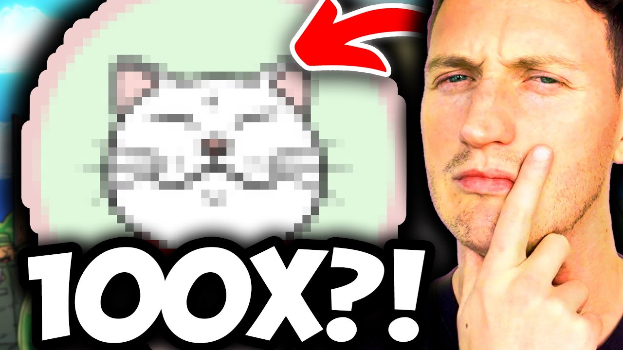 this brand new memecoin is going to print millionaires in 10 days... (Shiro Neko)