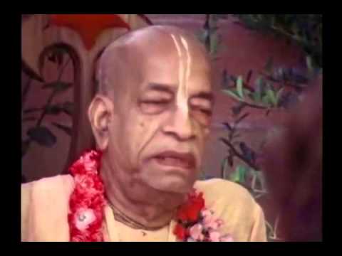 You Do Not Love The Cows; You Send Them to the Slaughterhouse - Prabhupada 0958
