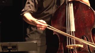 Networked Audio Performance in Memory of Nathan Brock: Mark Dresser, UCSD and Michael Dessen, UCI