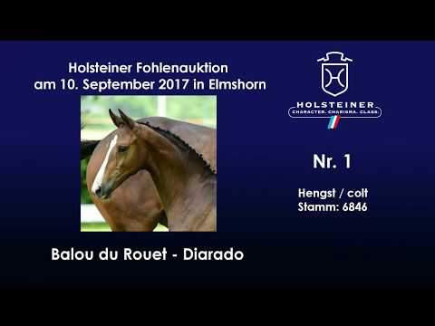 Nr. 1 v. Balou du Rouet - Diarado