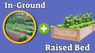 Raised Bed And In-Ground Planting Hybrid EverCrest