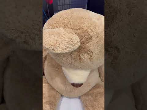 Mom and dad catch giant teddy bear moving by itself then this happens #shorts