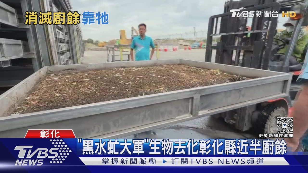 黑水虻大軍對戰廚餘海!彰化「變廢為寶」 台中掩埋惹議