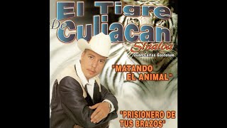 El mas amigo es traidor - El Tigre de Culiacan