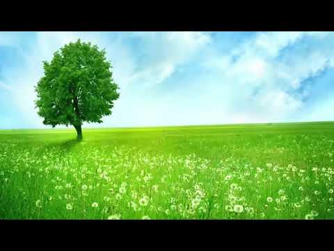 Nhạc Chế Karaoke - Thôi Nhau Con Hai Ta Sẽ Khổ