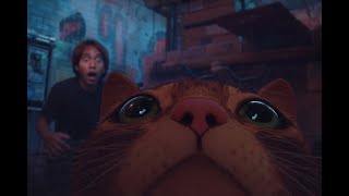 Download lagu 🔴LIVE | Kucing Jalanan mp3