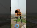 Na Jani Kon Oporadhe Dila Amon Jibon