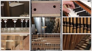 How an Organ Makes Music