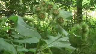 Ochtendgloren in Mooi Limburg