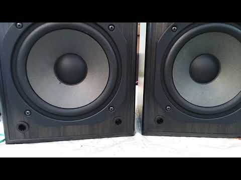 Pioneer S-X430. SPEAKERS