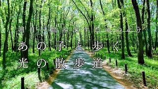 【ペットロス・HSP】あの子と歩く、光の散歩道。心を整え明日へ踏み出す「音の処方箋」｜音楽療法・ヒーリング 432Hz