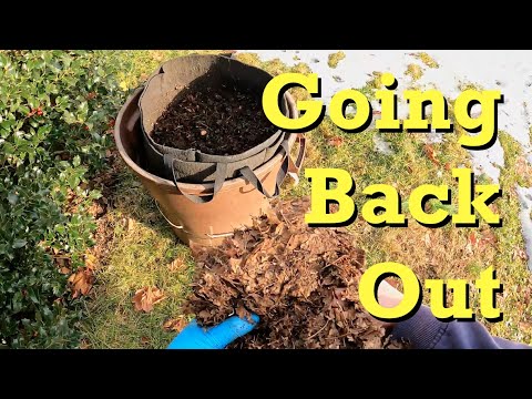Back outside for the outdoor worm bin - vermicomposting