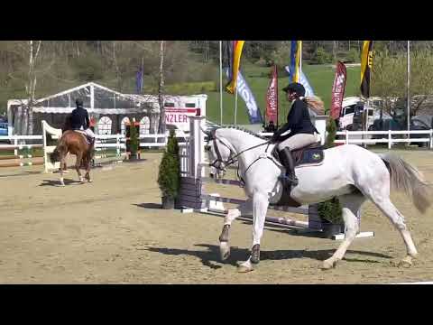 ZARA WHITE (5yo Zirocco Blue) 28.04.22 Leutkirch - 3. Platz 🥉 SPF A** WN 8,3