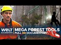 TREACHEROUS TIMBER Loggers And Their Mega Tools Full Documentary