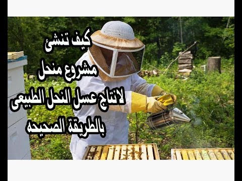 , title : 'كيف تنشئ مشروع منحل لانتاج عسل النحل الطبيعى بالطريقة الصحيحه'
