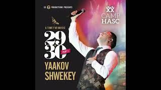 Yaakov Shwekey Waldner Medley