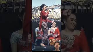 Download lagu Thailand song viral #shorts #shortvideo #thailand #thailandsong #fyp #new #song #viralvideo #funny mp3