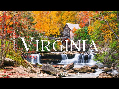 Virginia 4K - Epic Autumn Canopy Flight Over Shenandoah's Golden Forests - Travel Nature