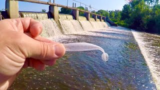 This Spillway is LOADED with BIG Fish! - Catching FISH AFTER FISH!