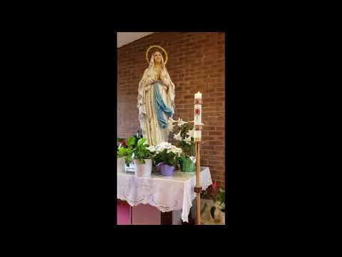 Krunica i Sveta Misa Mississauga - 05.02.2020