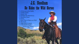 He Rides the Wild Horses