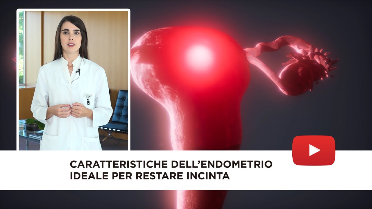 Watch Now Caratteristiche dell’endometrio ideale per restare incinta Caratteristiche dell’endometrio ideale per restare incinta