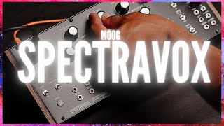Moog Spectravox - Accidental Arpeggios feat. Moog Subharmonicon