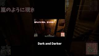 【DarkandDarker】嵐のように現れる男