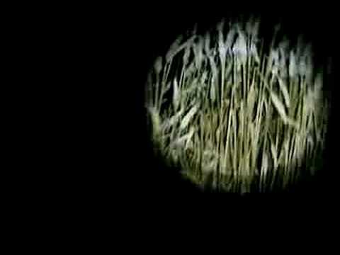 Mental Overdrive - Tunglskin