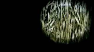 Mental Overdrive - Tunglskin