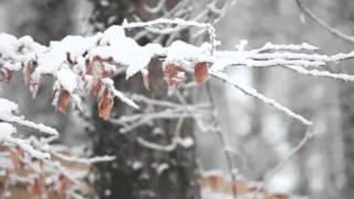 Ultima Thule   "frosty the snowman"